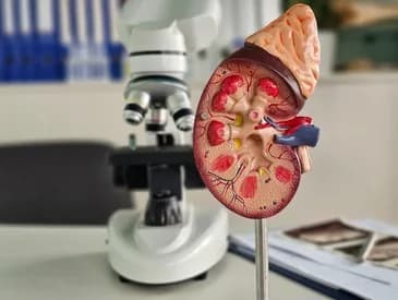 Renal Laboratory & Imaging